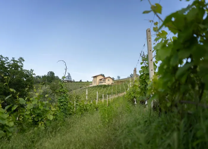 I Ciabot Di Monforte