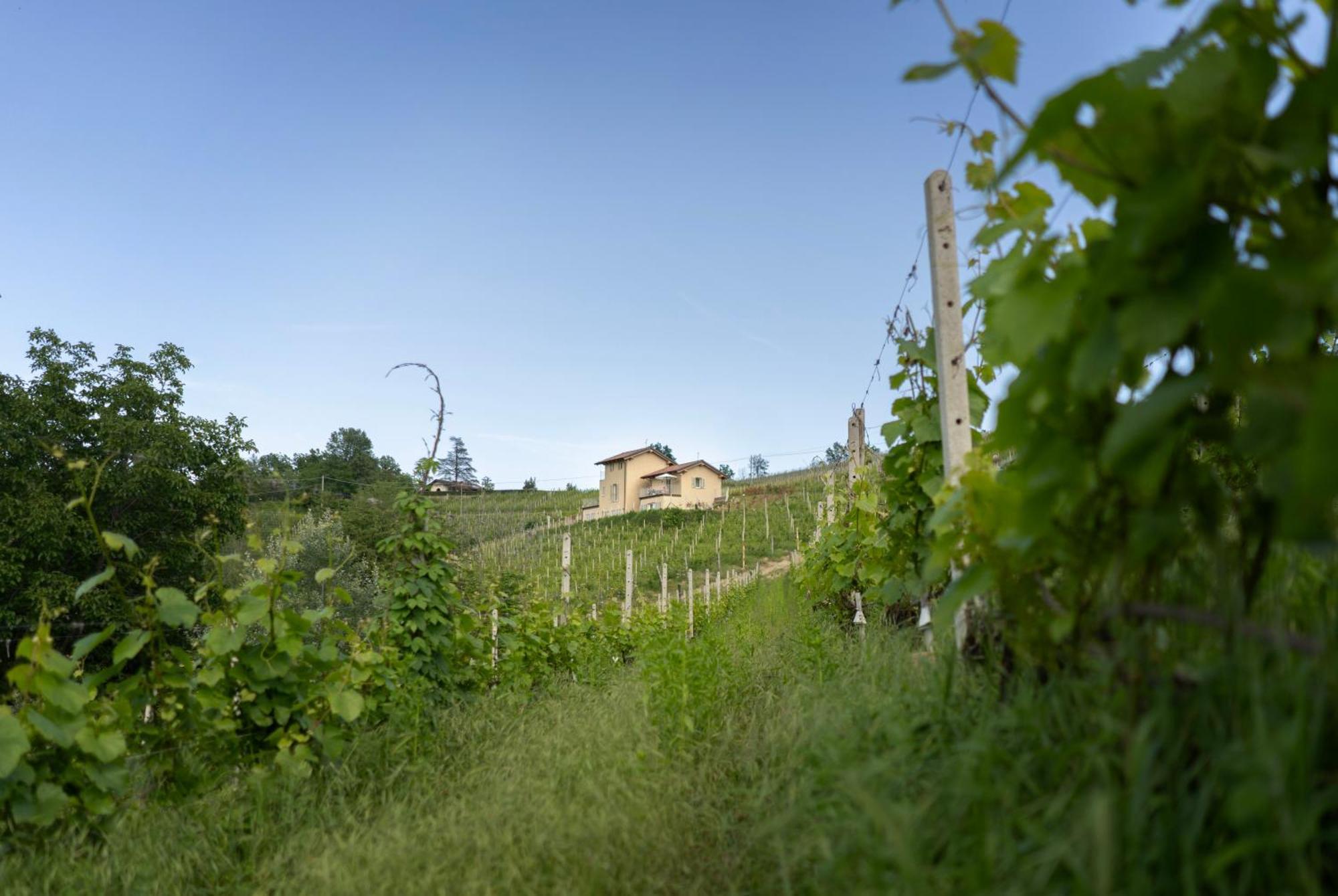 Apartment I Ciabot Di Monforte